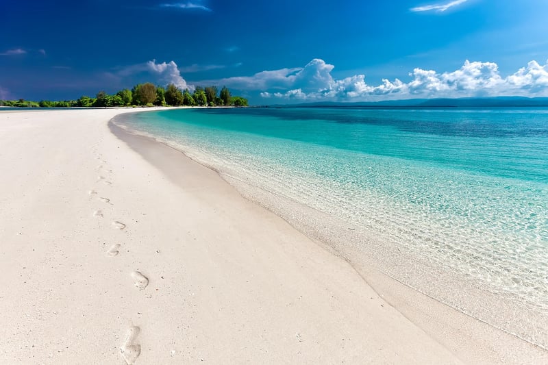 Tropical Paradise Wedding